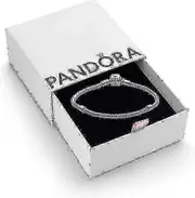 Pandora Moments Women's Sterling Silver Iconic Snake Chain Bracelet For Charms_Feb