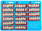 Dental Veneers Teeth Whitening Temporary Crowns Resin A3&A2 Upper Anterior