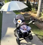 Universal Stroller Pram Pushchair Buggy Umbrella Parasol Sunshade Baby Kids