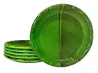 Banana Leaf Round Ice Cream Starters Serving Melamine Plate 6 inch Pack of 6 NAU