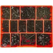 Champion CA1720 Mushroom Head Self Tapping Screw Assortment Kit