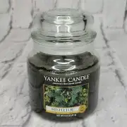 Yankee Candle Christmas Mistletoe Scented Jar 14.5 Oz Green Christmas Home Deco