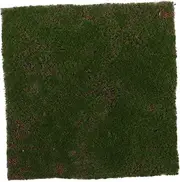 GRIRIW Realistic Fake Moss Grass Mat 30x30cm Artificial Turf Rug for Garden Patio
