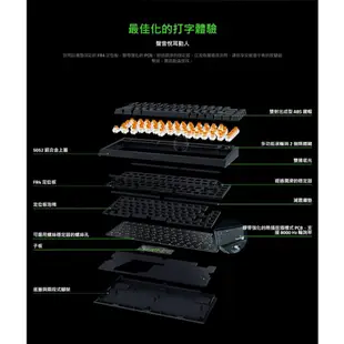 Razer 雷蛇 BlackWidow V4 75% 黑寡婦V4 黑色 白色 熱插拔機械鍵盤 橘軸 中文 英文