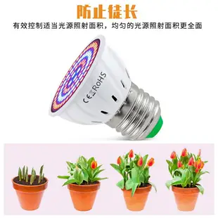 Led 生長燈泡 GU10 全光譜燈 E27 植物燈 MR16 多肉質燈 E14 溫室水培植物生長燈