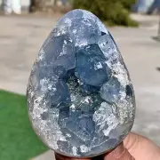 1.29LB Natural Blue Celestite Geode QuartzCrystal Mineral Specimen Healing