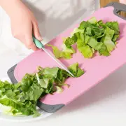 Kitchen Cutting Board Multifunctional Chopping Meat Cut Bread Fruit Meat