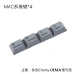 現貨|蘋果MAC系統功能鍵彩色櫻桃OEM高度R1 1.25U撲克PBT二色成型鍵帽