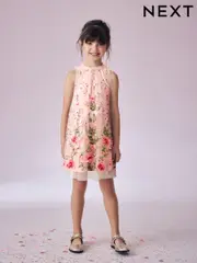 Pink Embroidered Mesh Dress (3-16yrs) (E23791) | $114 - $127