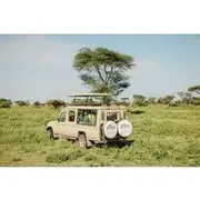 Save 20.00%! Private 4-Day Wildlife Encounter in Tanzania