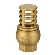 Brass Foot Valve - Female BSP Thread (Non Return)