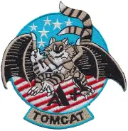 U.S. Navy Top Gun F-14 Tomcat Batcat Maverick A+ Embroidered Flight Suit Patch