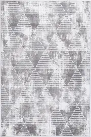 Paisley Matrix Geometric Silver Rug