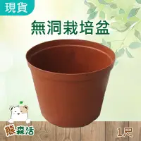 在飛比找Yahoo!奇摩拍賣優惠-～全館滿790免運～1尺(30cm)無洞栽培盆 荷蘭盆 水生