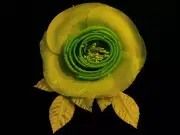 Millinery Flower 4" Lime Green of Pure Silk Fabric for Hat Wedding + Hair KM3 C