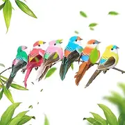 Generisch Foam Birds for Crafts - 6-Piece Ornament Set With Simulated Birds, Small Colourful Feathers, Decorative Birds for Garden Aids