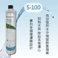 在飛比找有閑購物優惠-Everpure【S100】美國原裝 有保固 另售頭與 BH