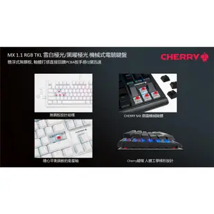 Cherry MX 1.1 RGB TKL 雪白極光 紅軸 黑曜極光 茶軸 黑色 白色 機械式鍵盤 電競鍵盤 易飛電腦