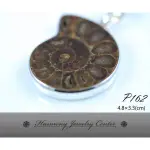 ∮和諧世界珠寶中心∮【P162】菊石 AMMONITE 褐殼珍珠 阿蒙神的角