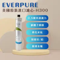 在飛比找momo購物網優惠-【PENTAIR濱特爾】EVERPURE H300/H-30