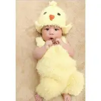 在飛比找Yahoo!奇摩拍賣優惠-『寶寶寫真』 毛茸茸小雞造型 QBABY SHOP
