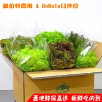 在飛比找PChome24h購物優惠-羅伯特農場 & HoHoYa日沙拉 S-600g(S-600