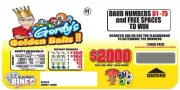 NEW pull tickets GORDY'S GOLDEN BALLS - Seal Card Tabs