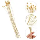 20 Pcs Aromatherapy Rattan Essential Oil Diffuser Sticks Office Miss