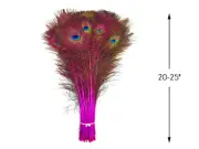 50 Pieces - 20-25" Hot Pink Dyed Over Natural Long Peacock Tail Eye Feathers