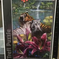 在飛比找蝦皮購物優惠-二手拼圖 Trefl Painted Tiger 500片