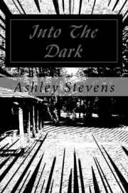 INTO THE DARK By Ashley Stevens **BRAND NEW**