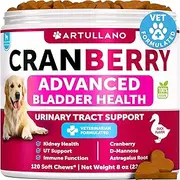 Dog UTI Treatment - Cranberry Supplement & Bladder Control for Dogs - Urinary Tract Infection Incontinence Pill, Bladder Stones - UTI Medicine Treats - 120 Soft Chews for Kidney Support with Fish Oil