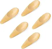 5 Pieces Mini Wooden Spoons Small Salt Spoon with Short Handle Tiny Spoons for Spice Jars Condiments Salt Tea Coffee Milk Powder Ice Cream
