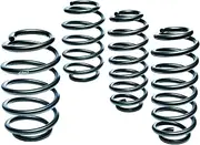 [Eibach] E10-35-047-02-22 Lowering Springs