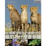 《國家地理》知識王B野生動物系列(獵豹為什麼要偷腥+NO.151)_大石商城 國家地理