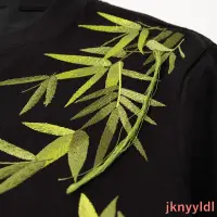 在飛比找蝦皮購物優惠-國潮醒獅t恤 刺繡t恤男女夏季國潮竹子流蘇寬松體恤重磅新款休