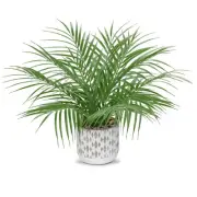 Large Artificial Potted Plants Fake Palm Plants 16" Faux Green Plant Plastic ...