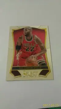 在飛比找Yahoo!奇摩拍賣優惠-2013-14 SELECT~Taj Gibson 切割亮面