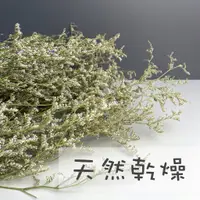 在飛比找蝦皮購物優惠-【台灣現貨速發】乾燥卡斯比亞 乾燥花 卡斯比亞 乾花 🌟台灣