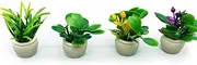 Dollhouse Decoration Plant Pots Miniature Green Potted Miniature Bonsai Model Dollhouse Accessories Decor,1 12 Scale Doll House Miniature Plant Model (4 Different Flower Bots)