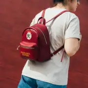 Harry Potter 9 3/4 Mini Backpack