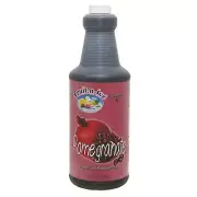 Fruit-N-Ice Pomegranate Blender Frozen Mix 3:1 Bottle