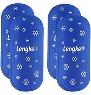 Cooler Travel Case and 2pc Ice Pack