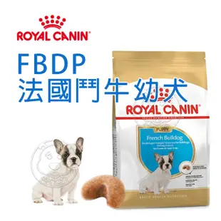 《 ROYAL CANIN 法國皇家》全系列狗飼料 大包/幼成老犬/PR27/APR33/AM32/M25【培菓寵物】