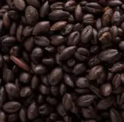 Muntons Roasted Barley 1 LB for Home Brew Beer Making