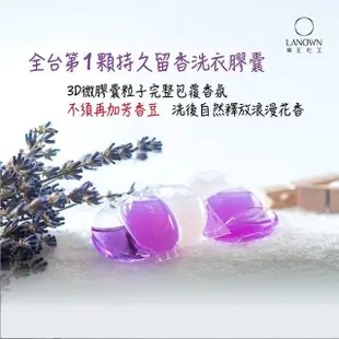 【Lanown 南王】超濃縮液體肥皂膠囊 薰衣草 補充包(南王 液體肥皂 洗衣膠囊 洗衣球 膠囊香氛)