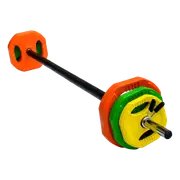 20kg Standard Rubber Coloured Barbell