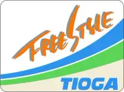 Tioga Freestyle handlebar/seat post BMX bicycle decal - 1 1/2" x 1 1/8"