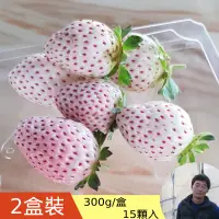 在飛比找台灣好農優惠-潭子有機白龍王草莓(15顆/盒) 買一送一