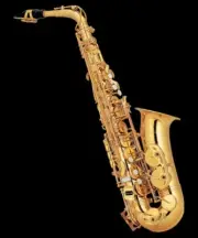 Professional Eb key Alto Saxophone
